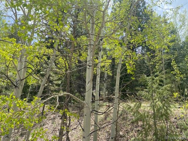 88 N Fork Road