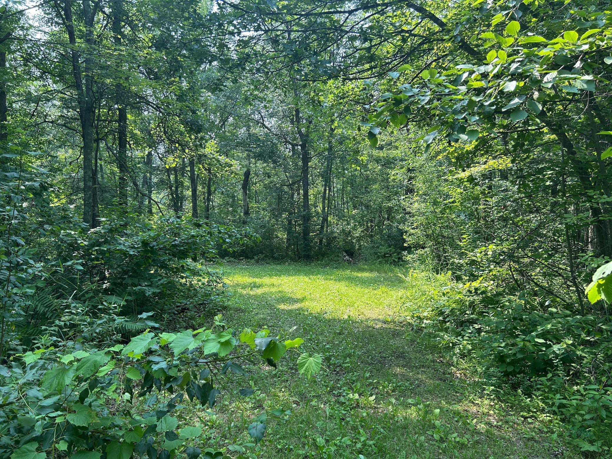 266XX Birch Trail