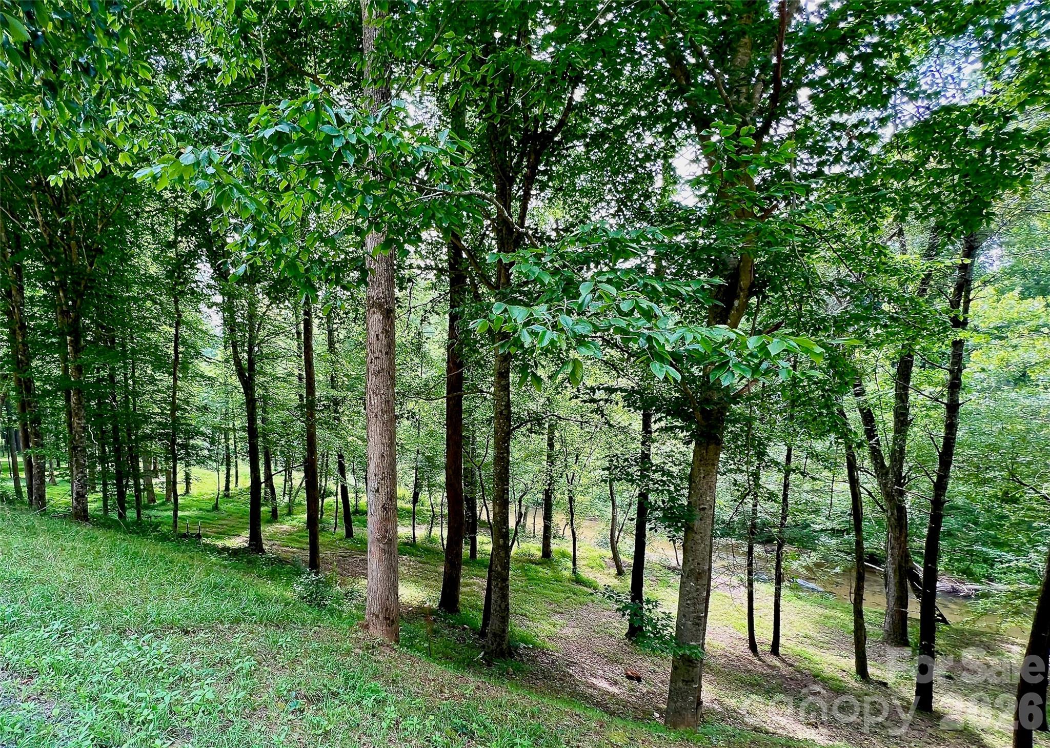 5915 River Hollow Trail Lot 758