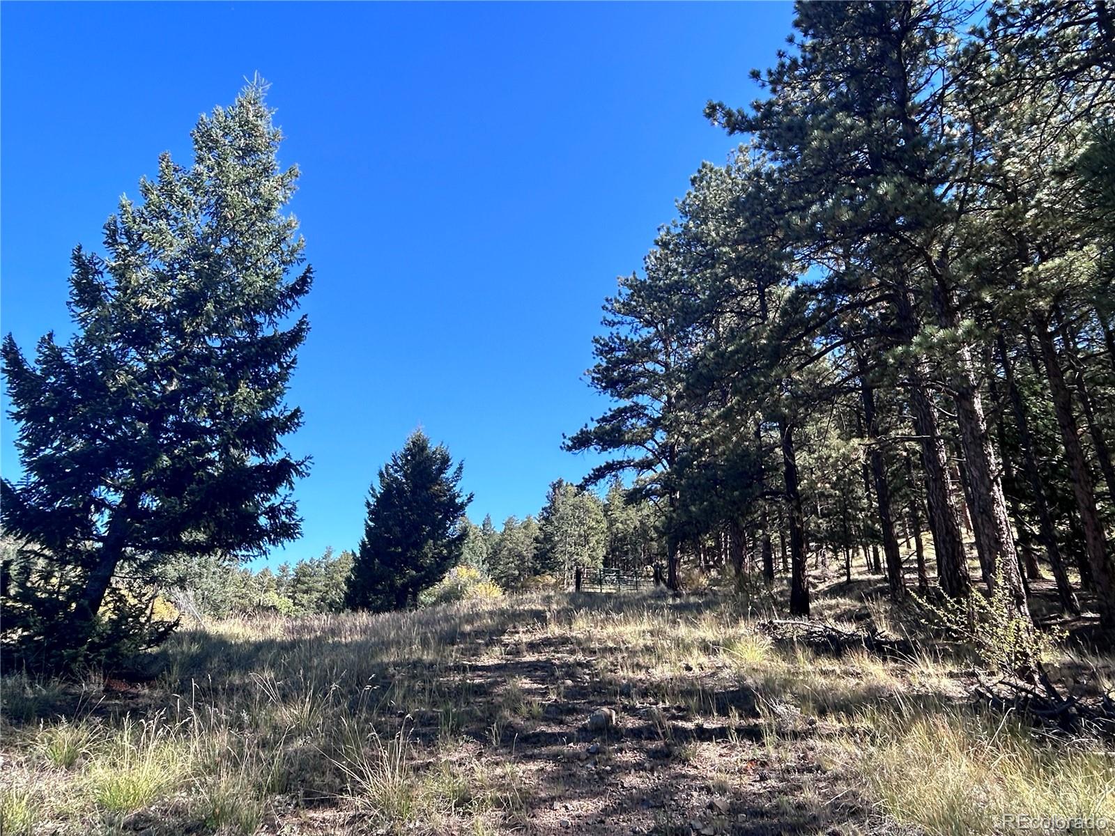 62430 Hwy 285
