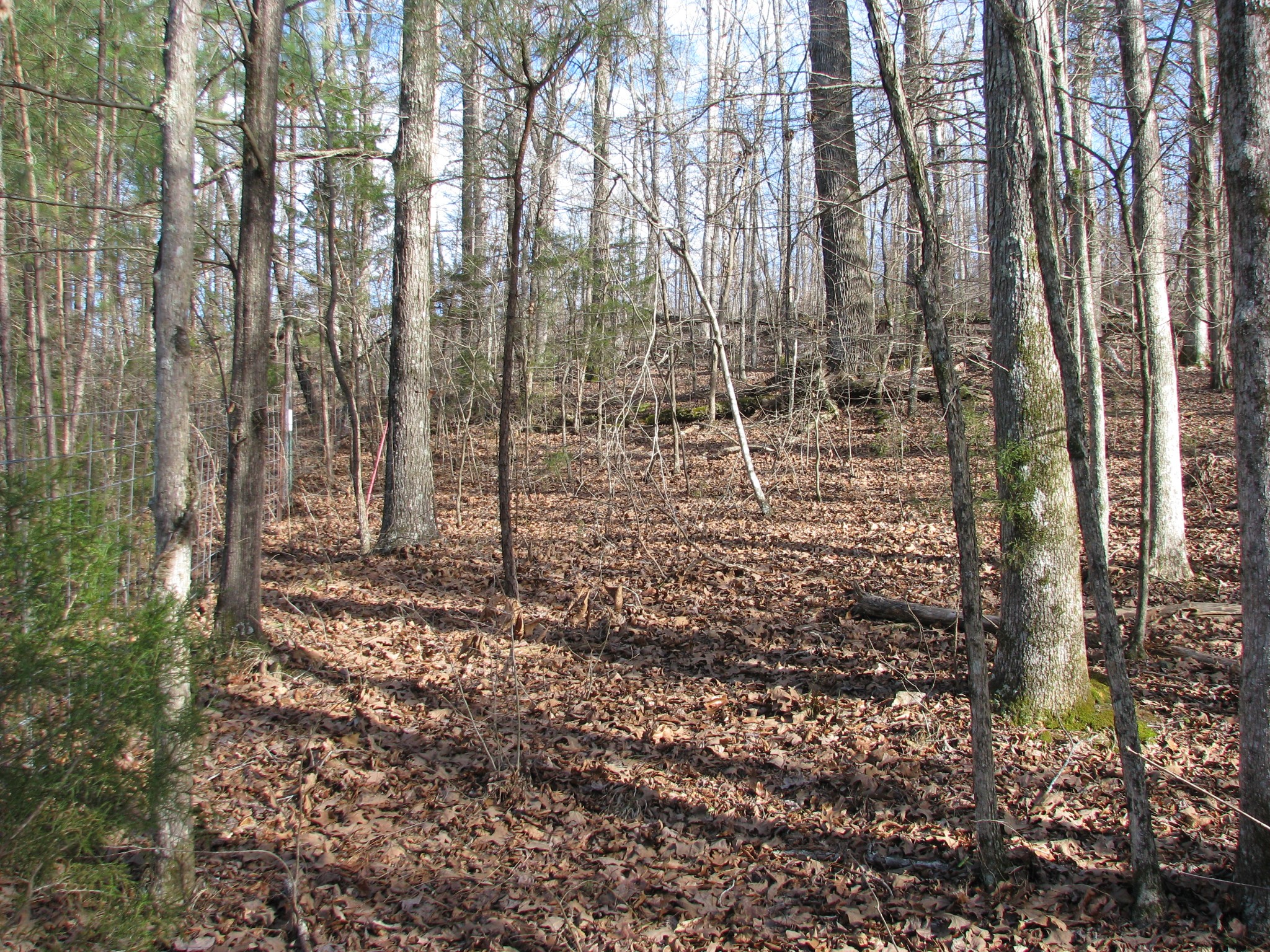 0 Cuba Landing Rd