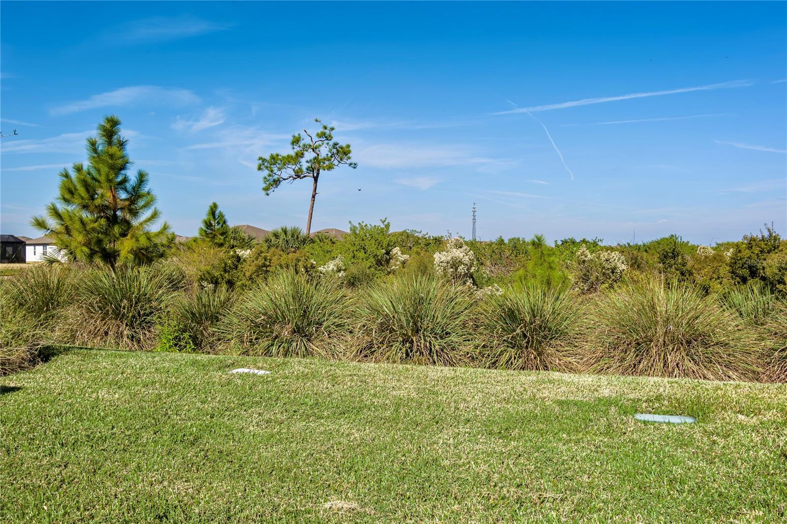 10641 Spring Tide Way