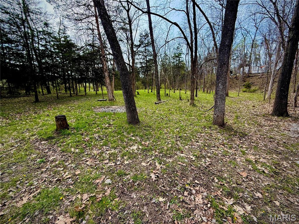 44513 Willow Lane