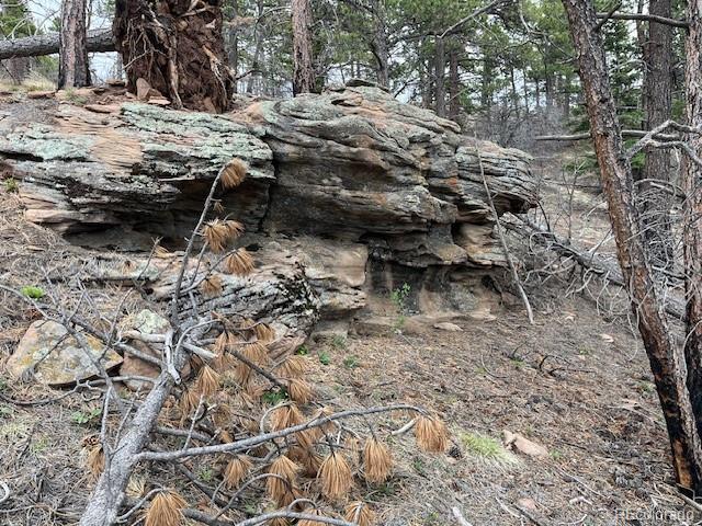 Lot 513 Leslie Loop