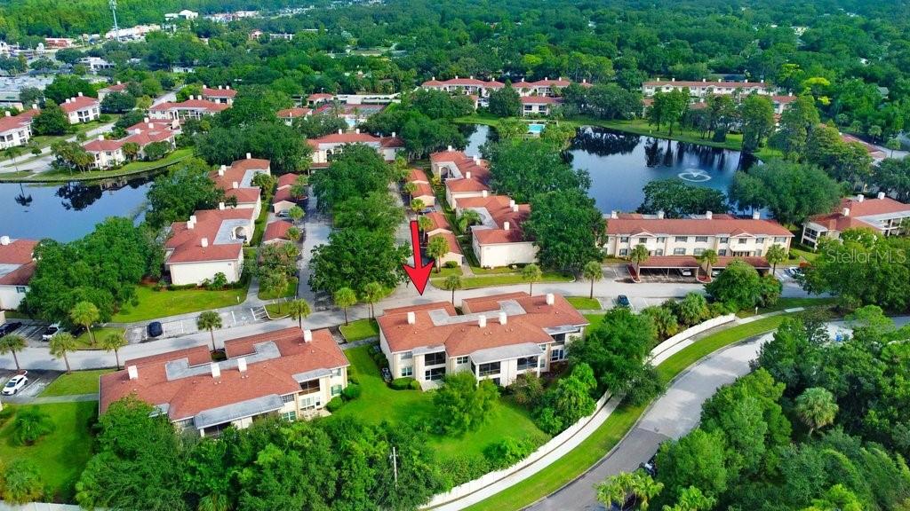 10359 Carrollwood Lane 157