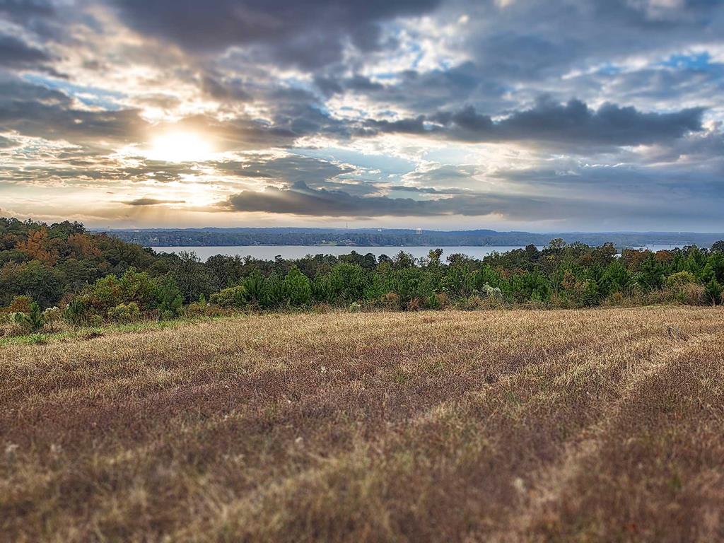Cool Branch Retreat is a one-of-a-kind Waterfront refuge on Lake Eufaula. This 100-acre retreat in Quitman County near Georgetown feels far larger than its acreage — a secluded, peaceful escape where you can stand in the center of the property and hear absolutely nothing but nature.  Bordered on three sides by Cool Branch Wildlife Reserve and surrounded by expansive timber tracts, this land offers exceptional hunting, privacy, and potential. It's wooded throughout with planted pines and mature hardwoods, an established interior road system, and cleared food plots that have supported a rich hunting history.  Whether you're drawn to the quiet of the outdoors, the thrill of trophy hunting, or the long-term investment and development potential along the Lake Eufaula waterfront, this property offers it all.  Currently enrolled in Conservation Use through 2029.