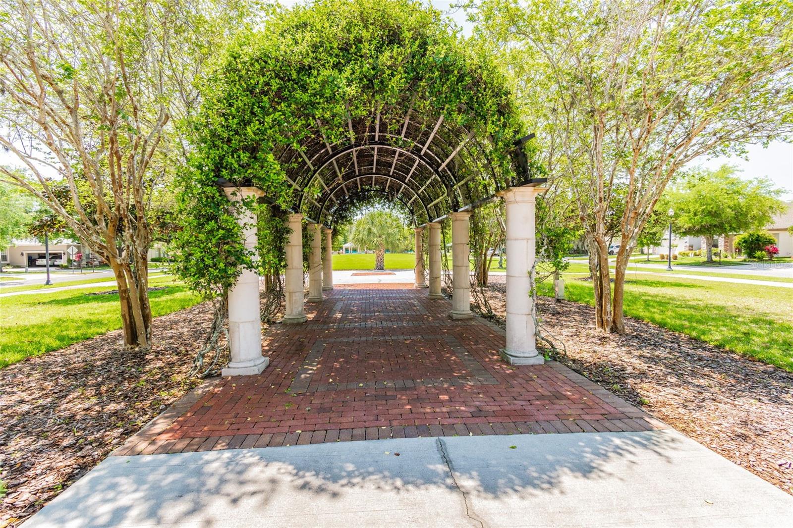 8249 Cressida Court