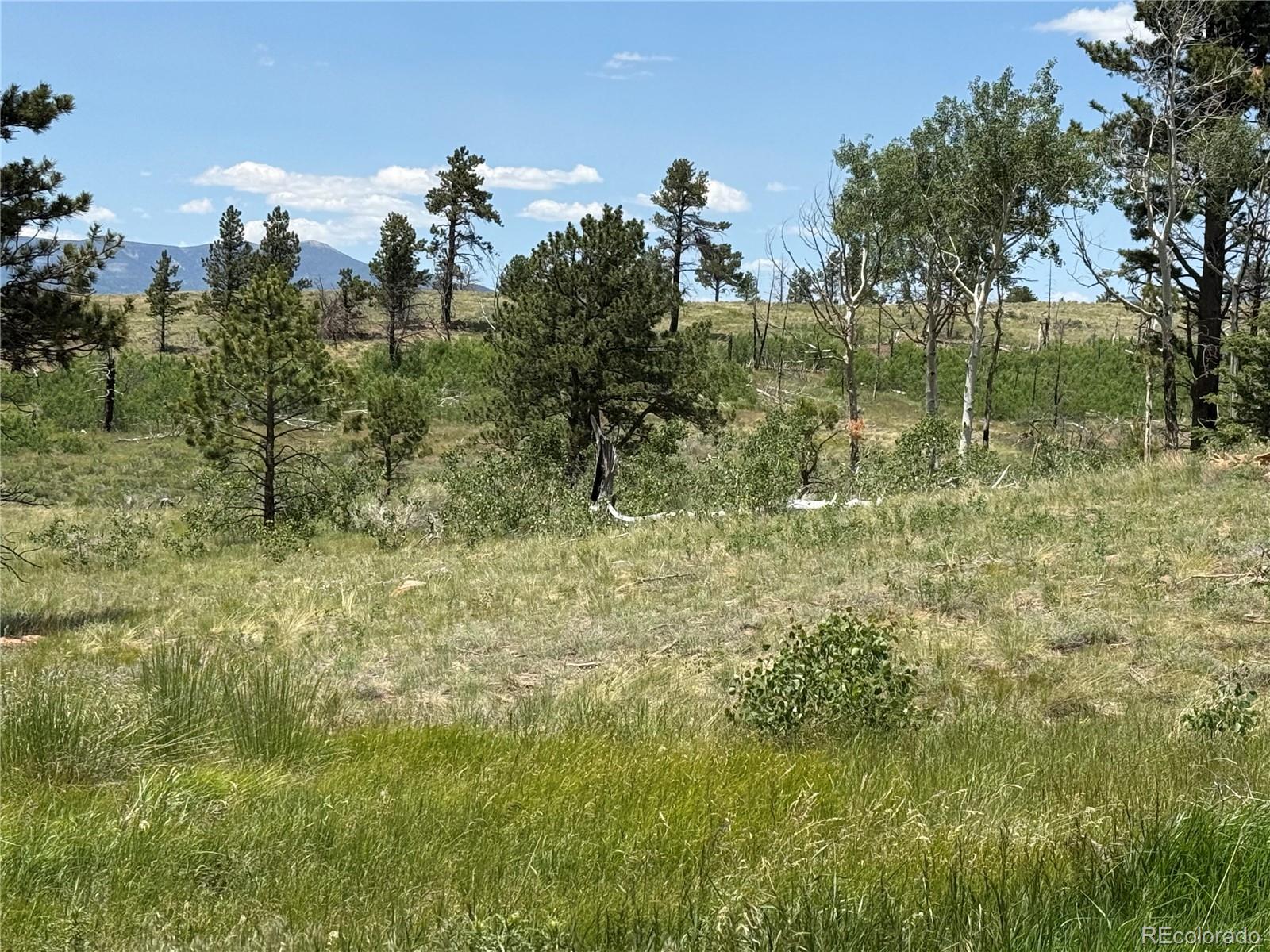 Lot 1103 Emery Loop