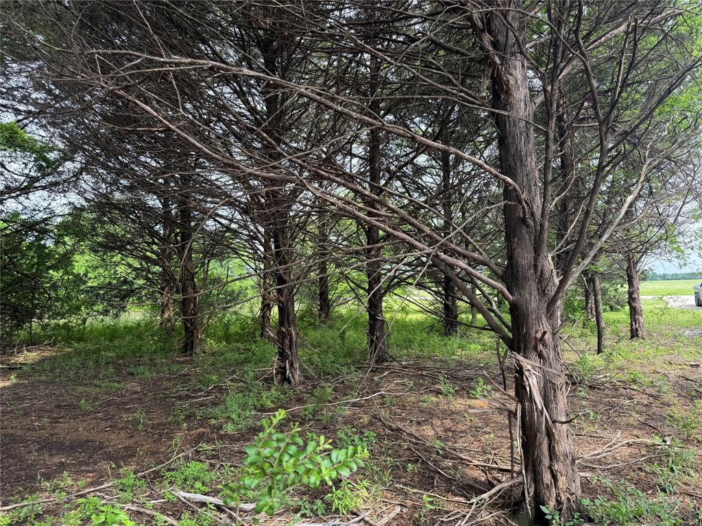 TBD 2.824 acres Fm 901