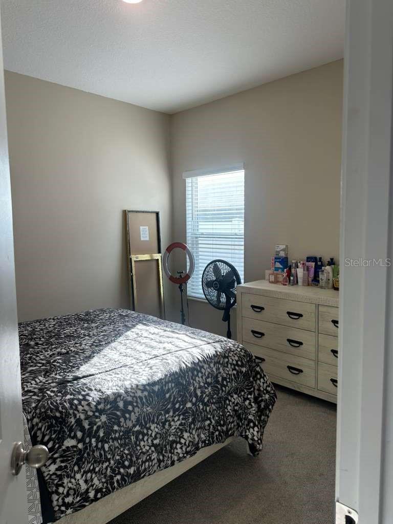 441 Disa Drive