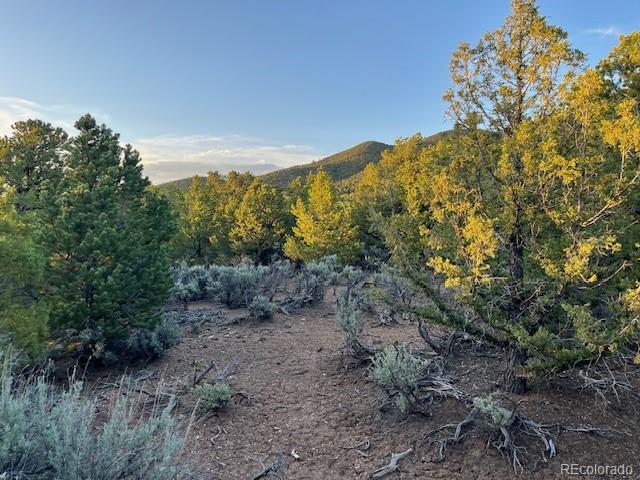 Lot 1575 Balleroy Road