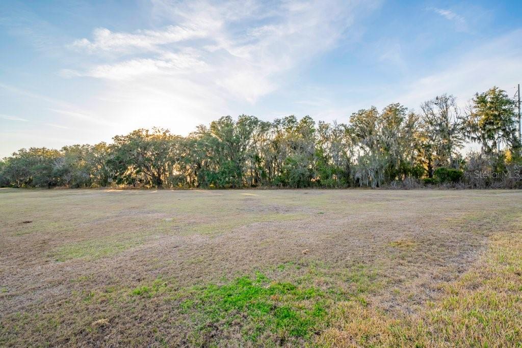 14604 Horse Trot Road