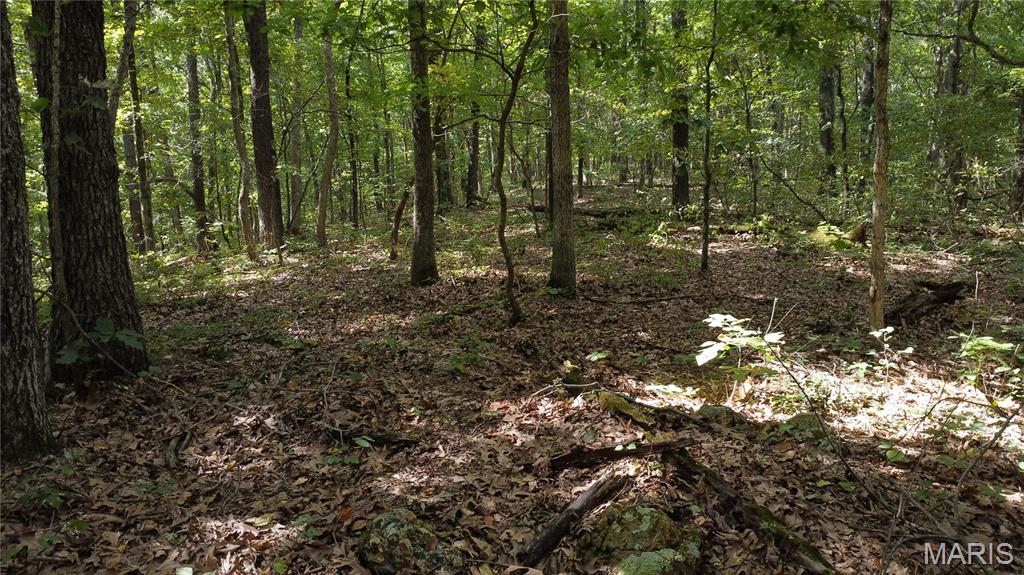 10223 San Juan Trail