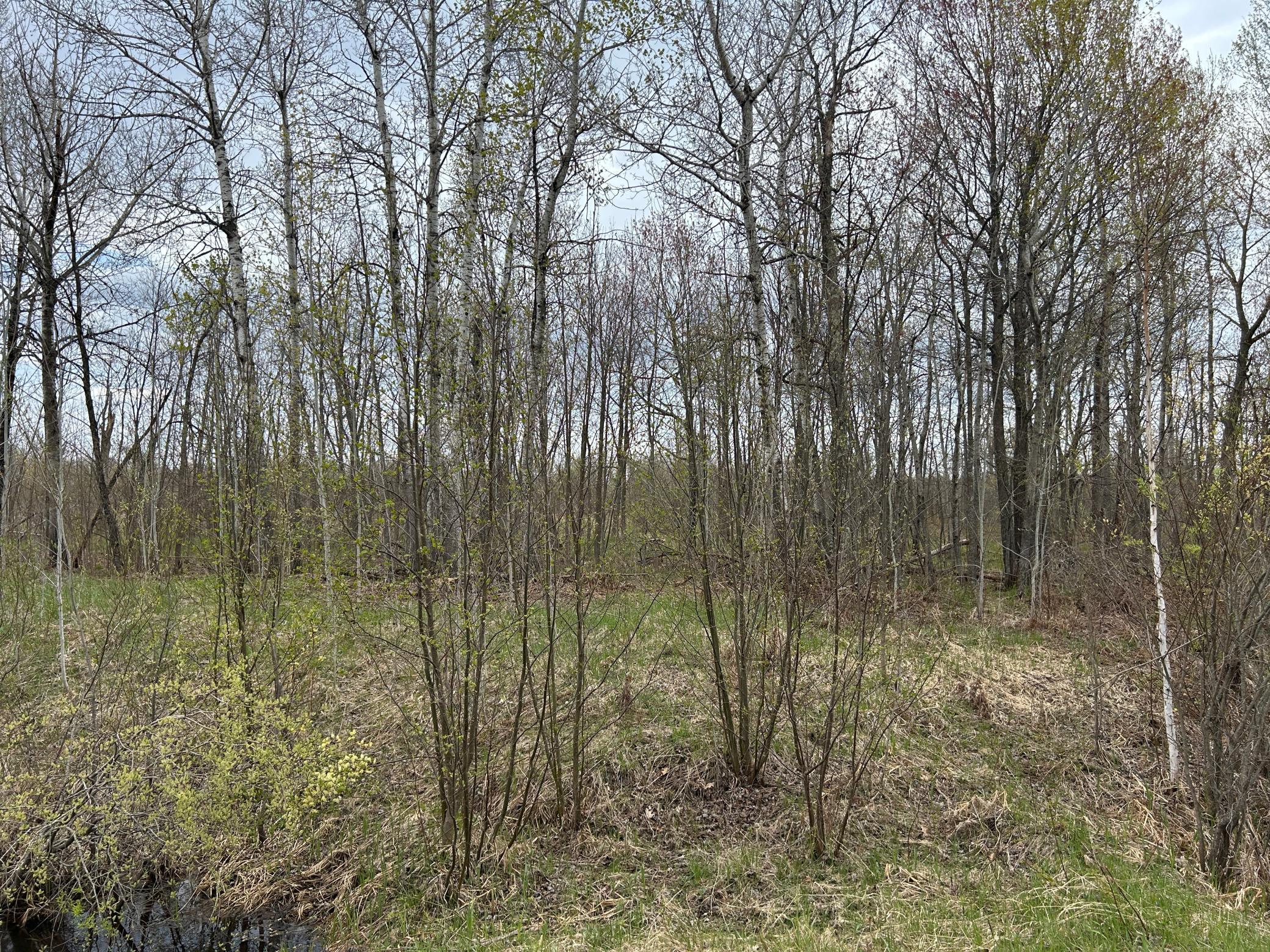 TBD 250th Street