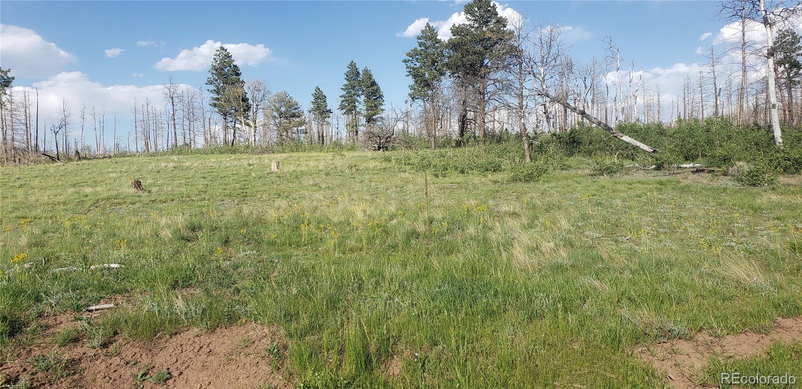 Lot 1406 Emery Loop