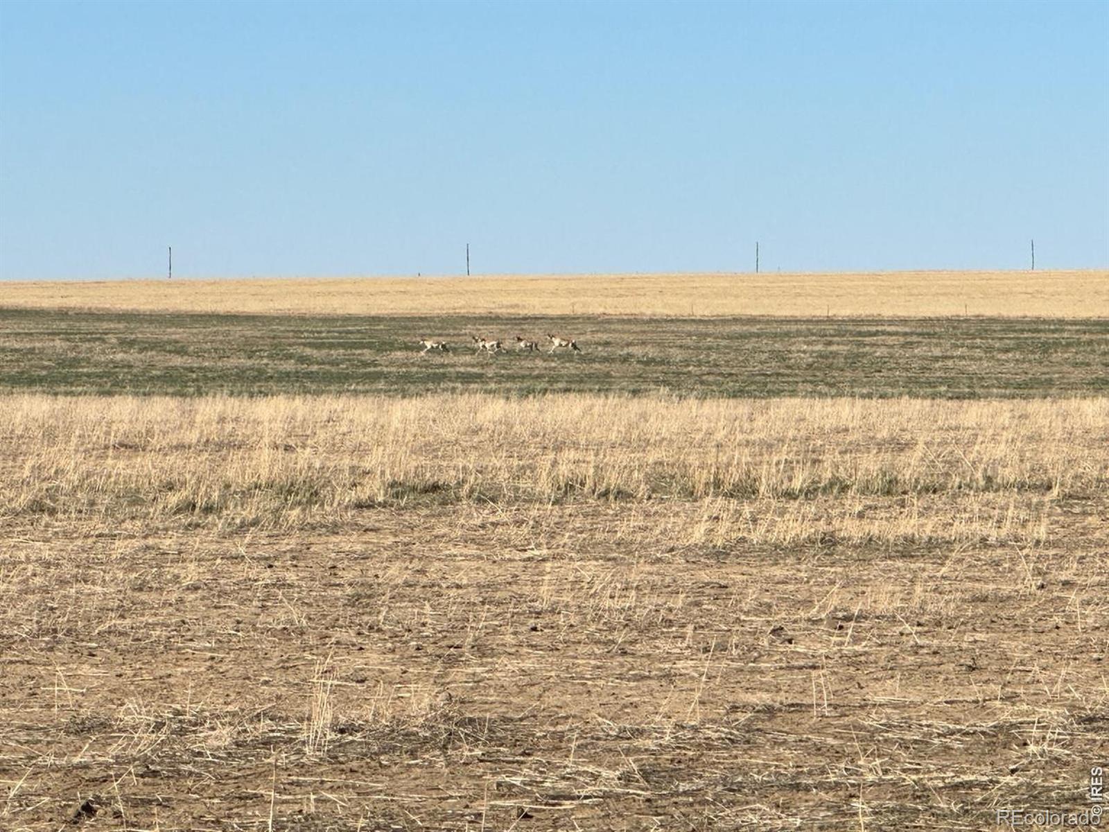 962.51 total acres of quality cropland located in Kiowa County featuring approximately 70% cropland base with predominantly Class IV soils. The property offers an attractive, level-to-gently rolling lay with shallow natural drainage extending across the acreage, making it well-suited for farming and agricultural operations.A domestic well is situated in the northeast corner. Growing crops are negotiable with the sale. Seller-owned mineral rights, if any, will not transfer. The property is conveniently located approximately one mile north of a transmission line in Kiowa County, providing long-term proximity to infrastructure. Legal Description: South Half of Section 16 and all of Section 17, Township 20 South, Range 54 West.2025 property taxes: $1,083.68.