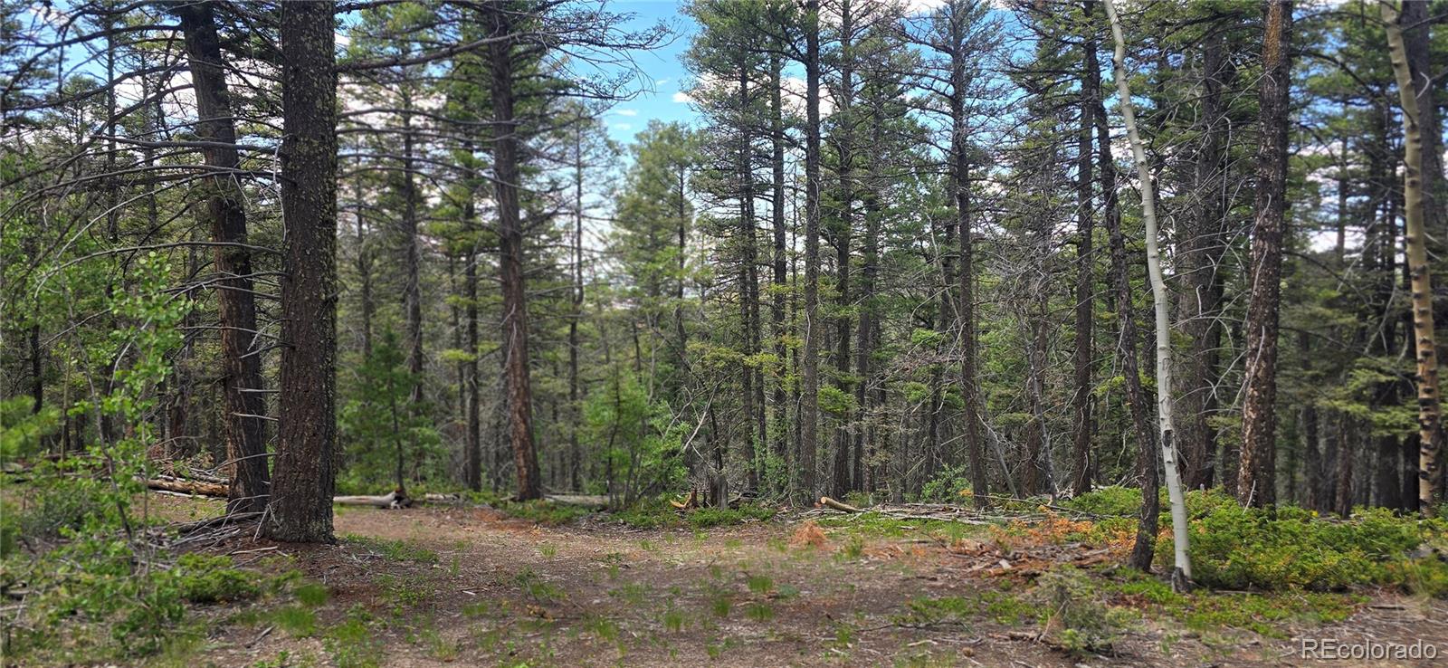 Lot 5778 Balleroy Road