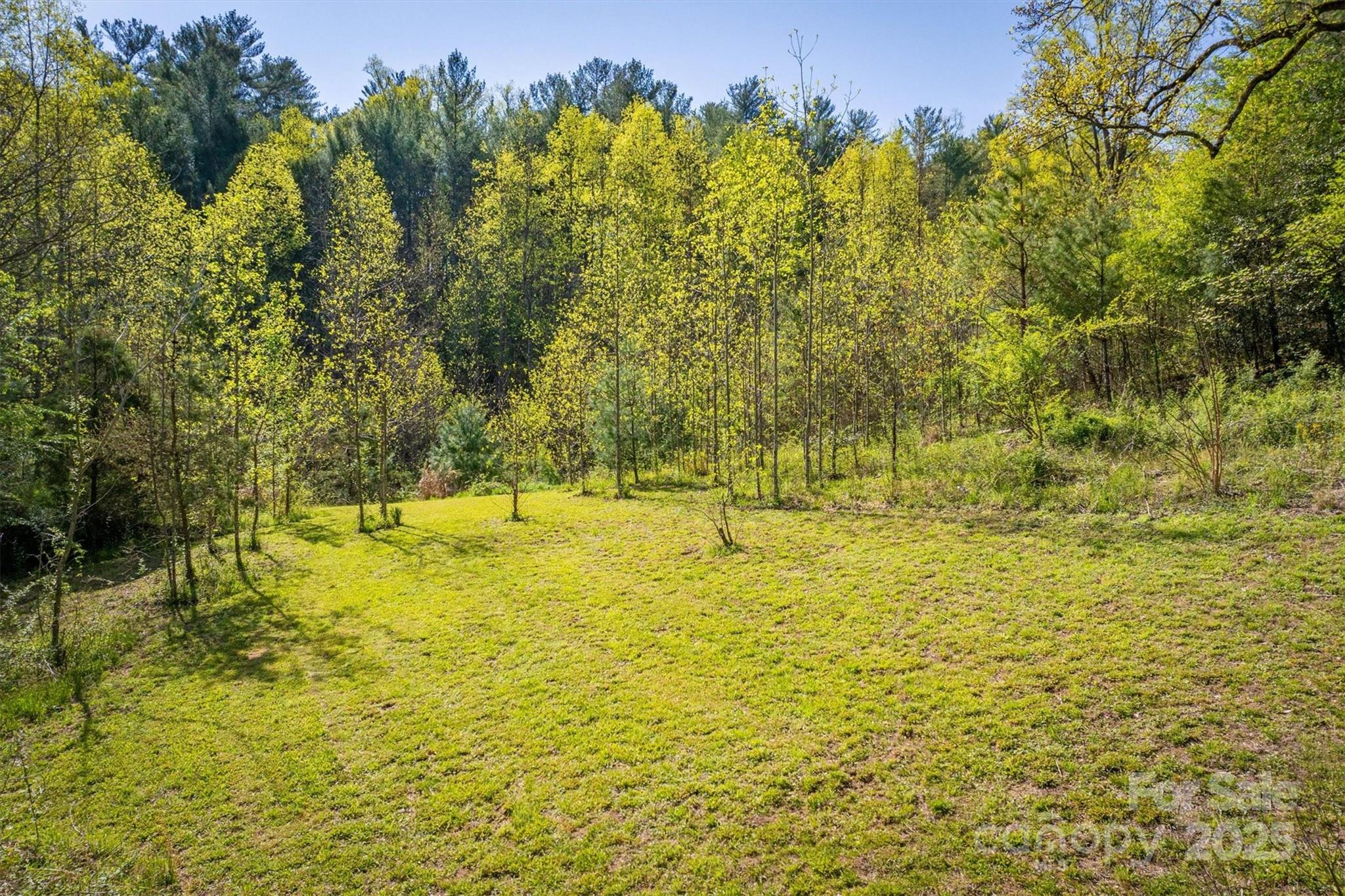 4081 Pigtail Road