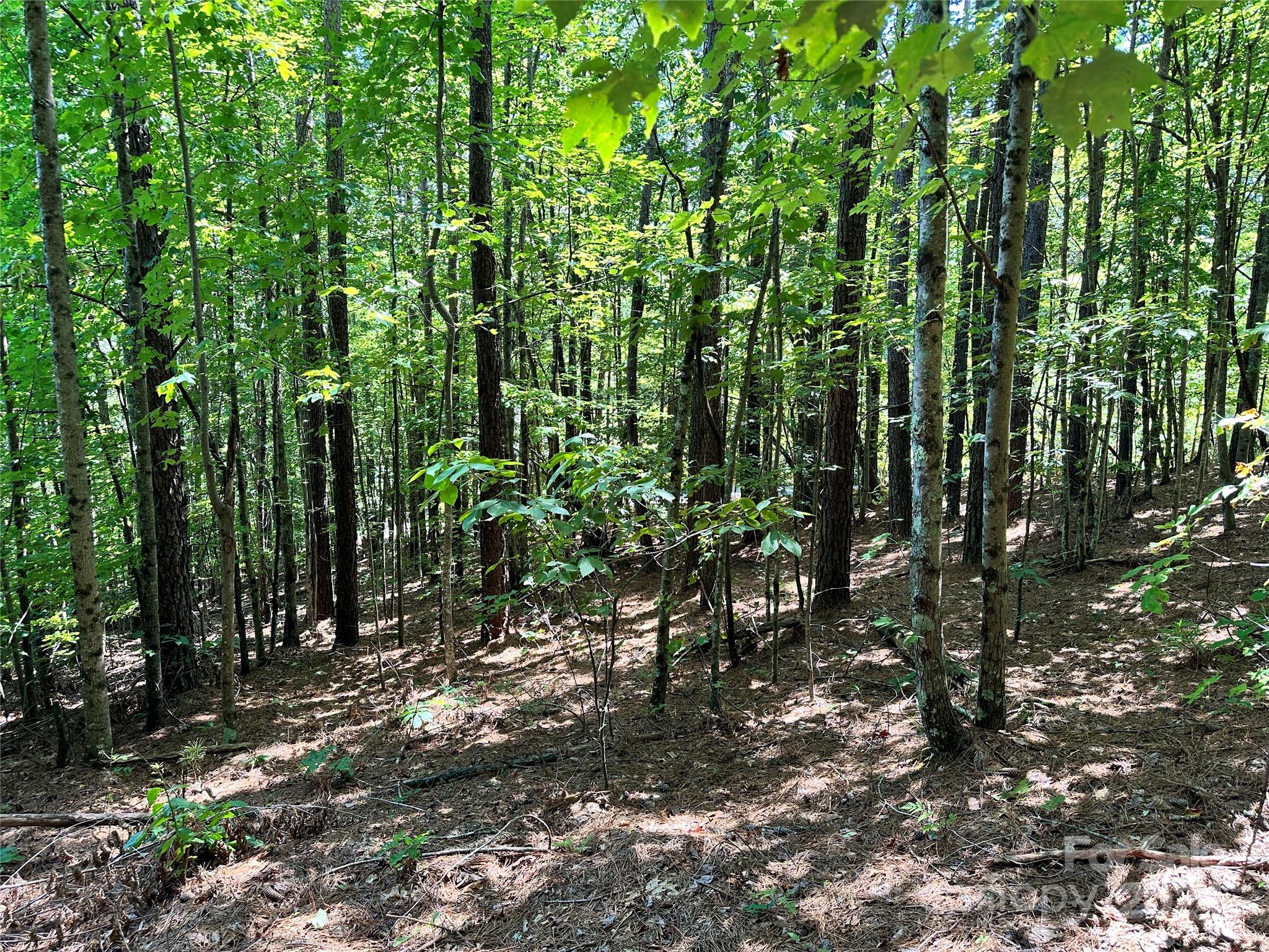 67 Dunn Trail 9