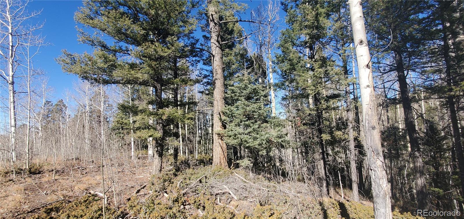 Lot 6060 Forbes Road