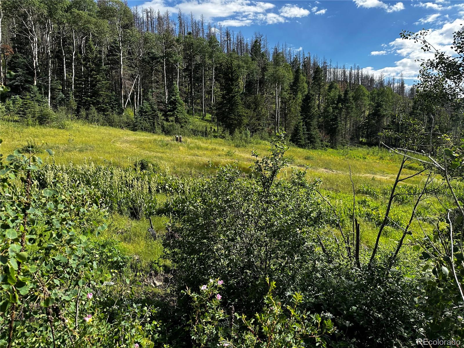 Land for sale in Fort Garland, Colorado, 3152738