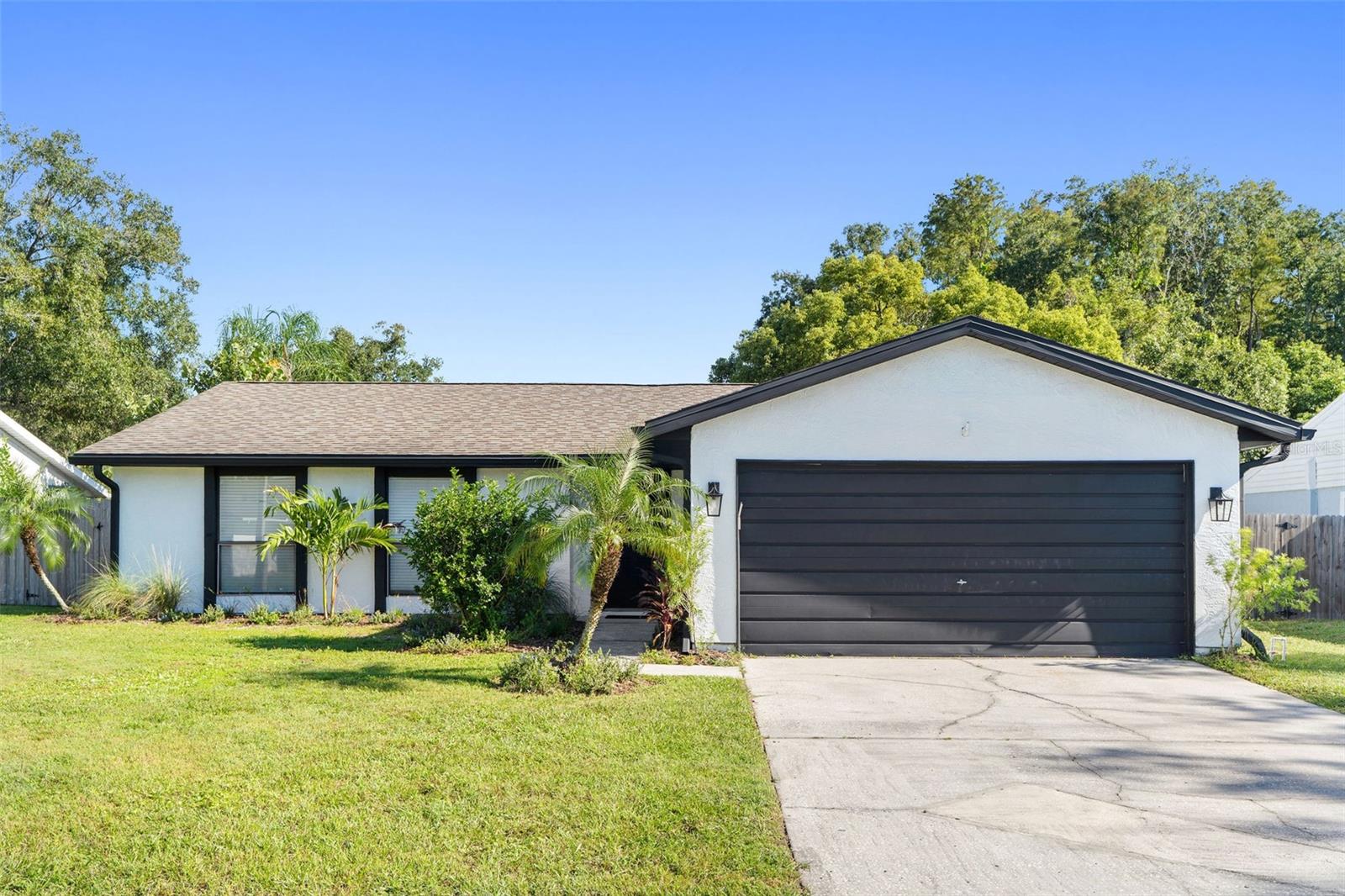 5308 Black Pine Drive