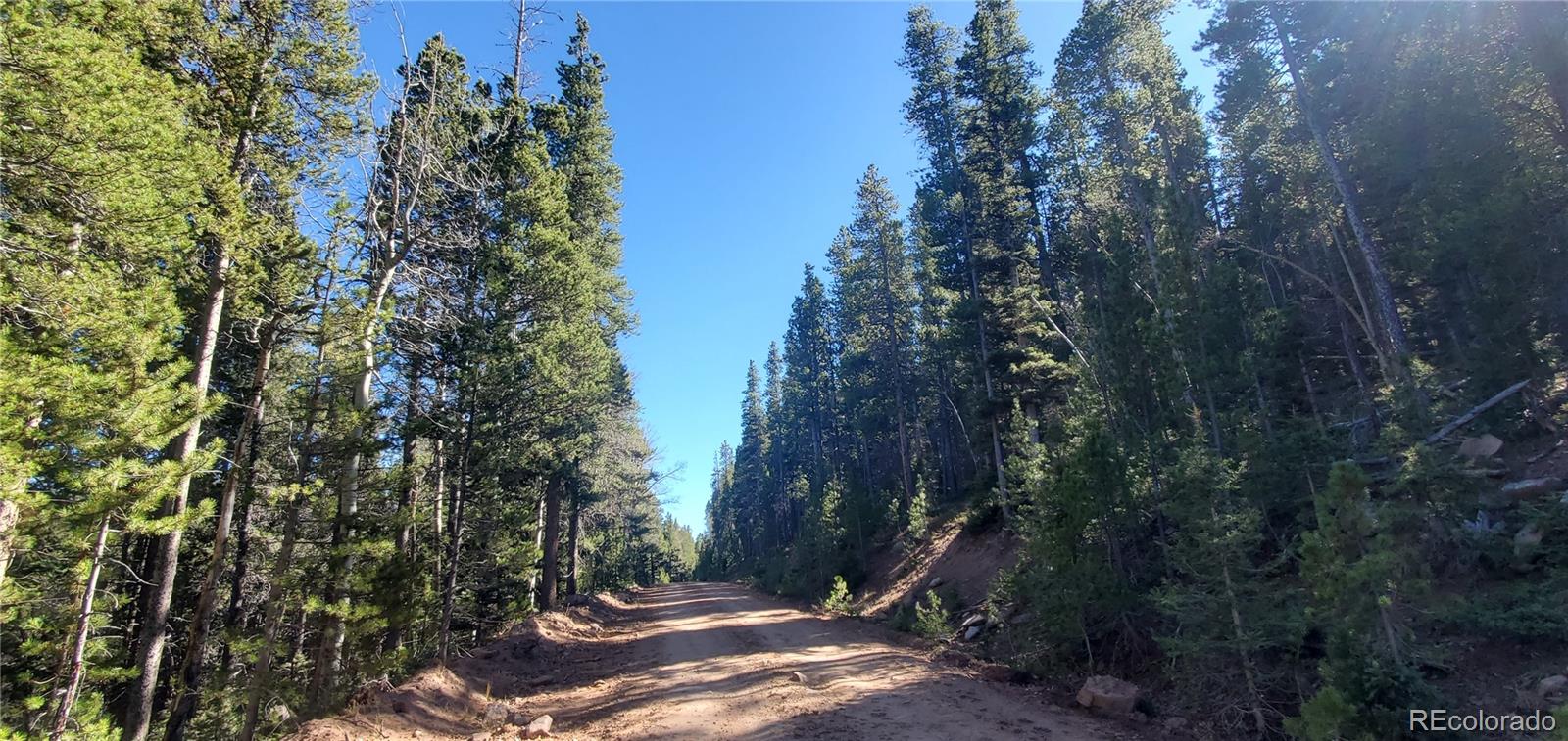Lot 2999 & 2998 Drexler Place