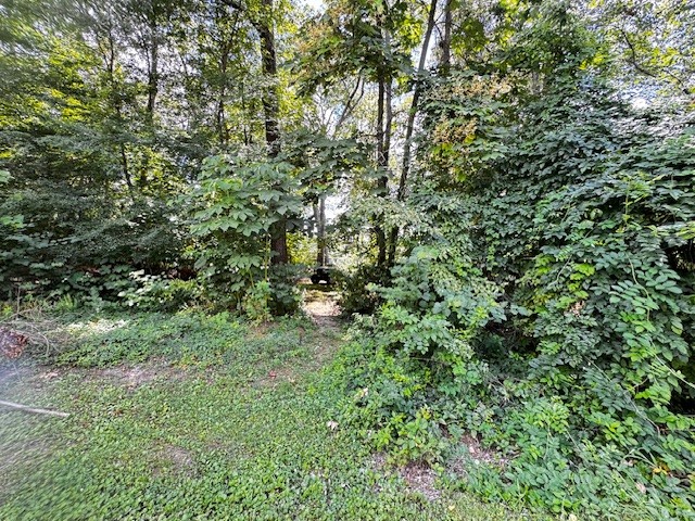 COME BUILD YOUR DREAM HOME ON THIS PRIME VACANT LOT!!  Welcome to your blank canvas. An incredible opportunity to design and build the home you've always envisioned. Nestled in a peaceful and well established neighborhood this spacious lot offers the perfect balance of privacy, convenience, and natural beauty. Located only mins. from Tims Ford Lake and a public boat launch.