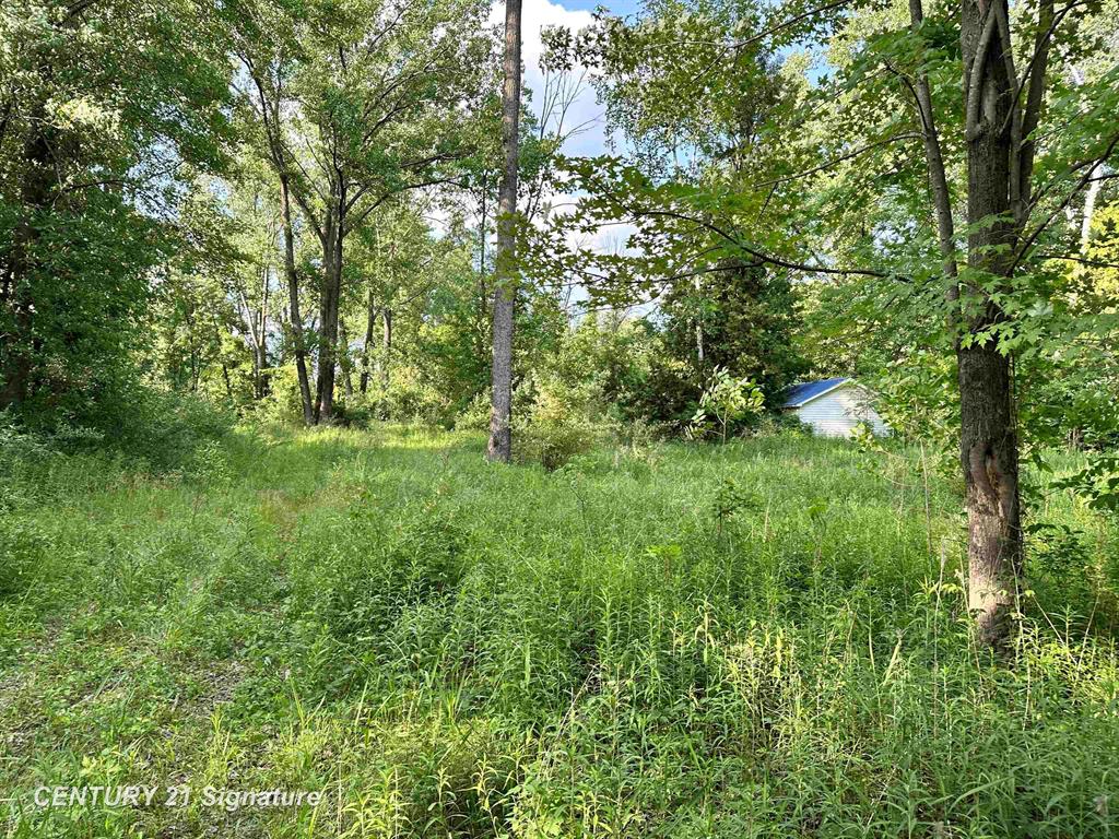 Don't miss this rare opportunity to own an approximately 5-acre island with an incredible 2,000+ feet of water frontage on Wixom Lake (water to return in the future). Enjoy the seclusion and serenity of island living with the convenience of road access via Wieman Road and a private culvert/land bridge. The property is beautifully wooded, offering a natural, park-like setting and total privacy. Whether you're dreaming of a future waterfront retreat, a rustic cabin getaway, or a one-of-a-kind investment, this property delivers. With panoramic views in every direction and room to build, this is a truly unique piece of land waiting for your vision.