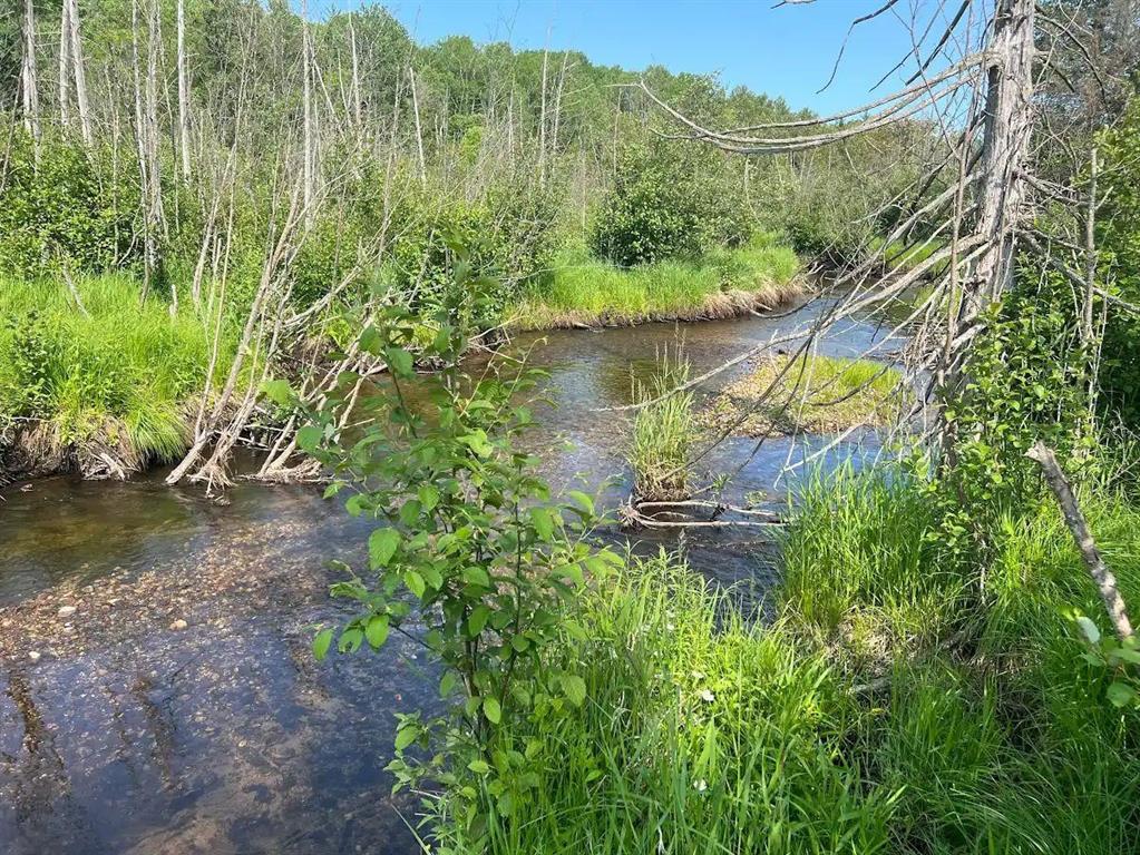 80 ACRES!! Beautiful wooded acreage with a mix of mature trees with Pine River running thru property with 2 ponds and trails thru-out. There is also a 24x28 garage with power and a cement slab where an older mobile home use to be. With water and septic already on the property, this is an excellent place to park your RV home or camper. Also the perfect property for building your secluded getaway or hunting cabin and there are also 2 blinds and food plots on the property with plenty of deer and other wildlife in the area. All of this on a publicly maintained road for added convenience. Condition of septic unknown.