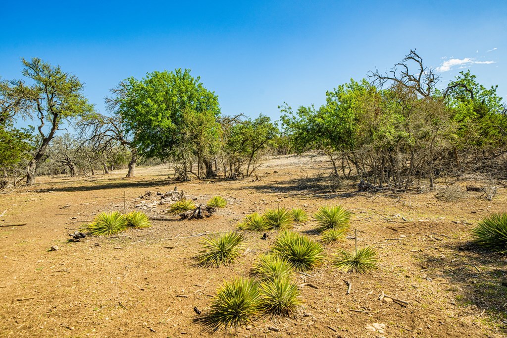 195 NW Crooked Creek Path