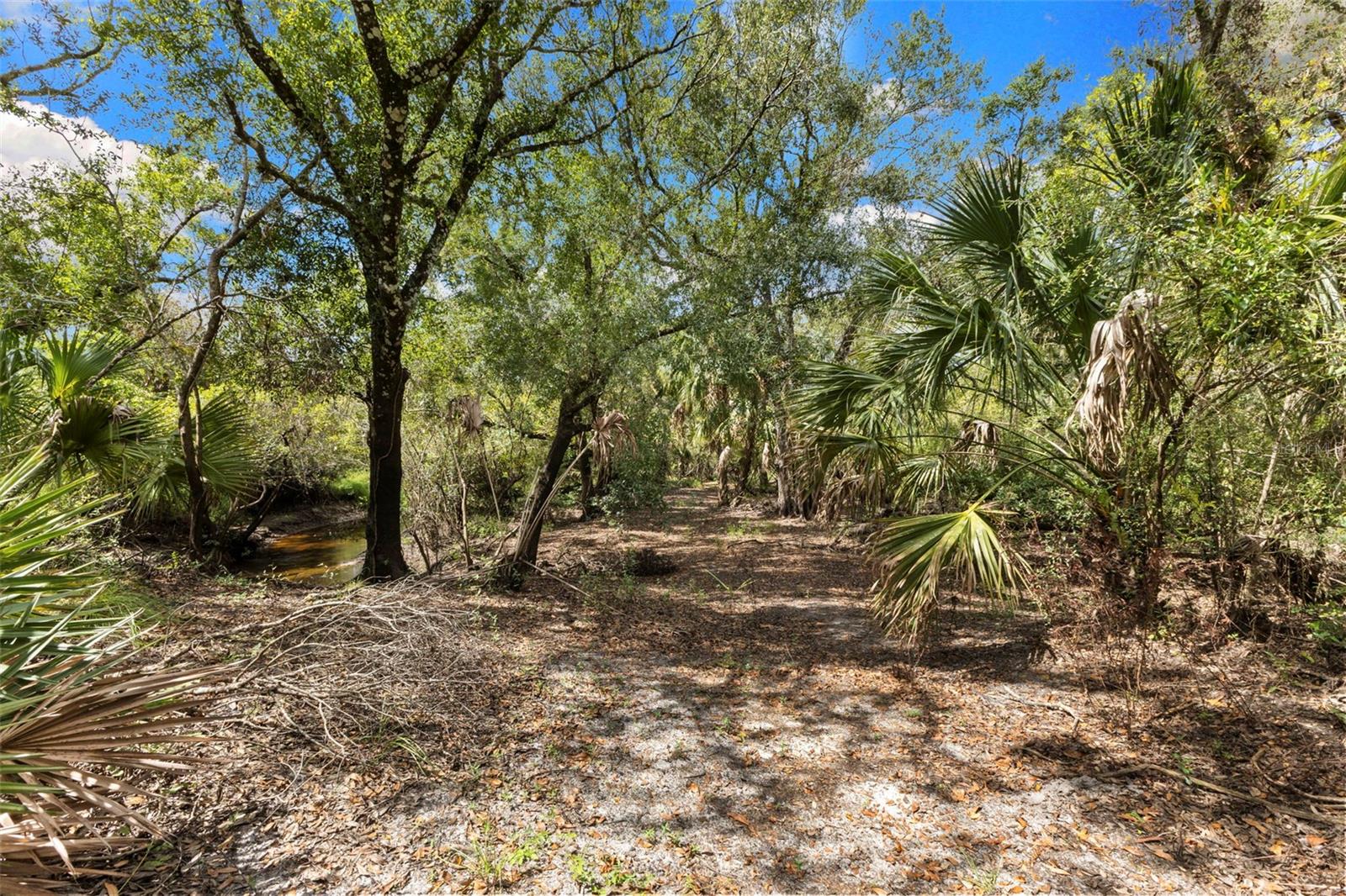 15571 County Road 675