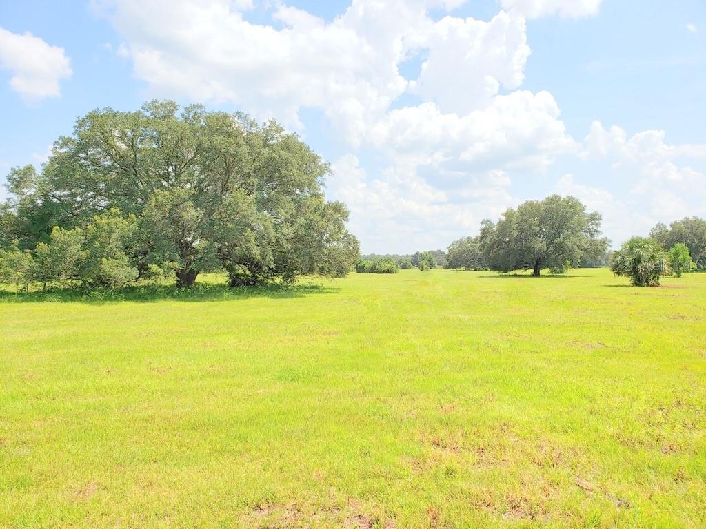 for sale in Orange Springs, FL Lot 2 (11.5ac) NE Highway 315 Highway