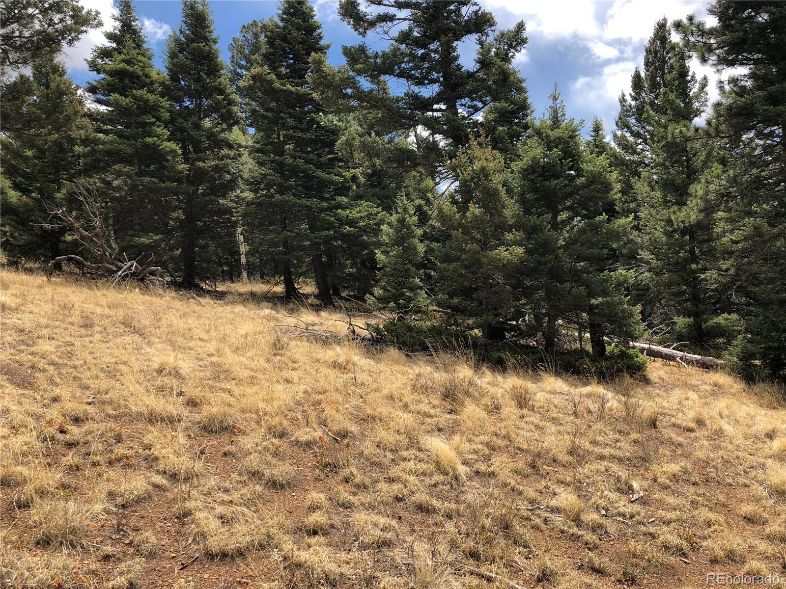 Lot 174 Ferris Place