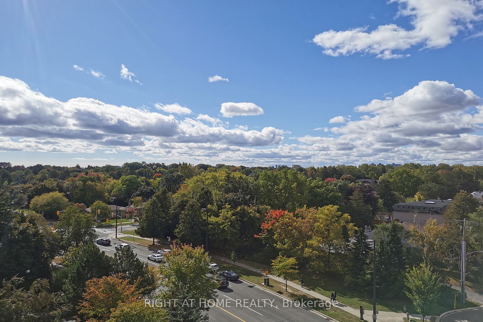 233 Beecroft Rd 812