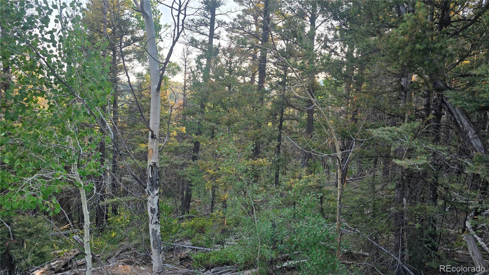 Lot 5768 Clawson Road