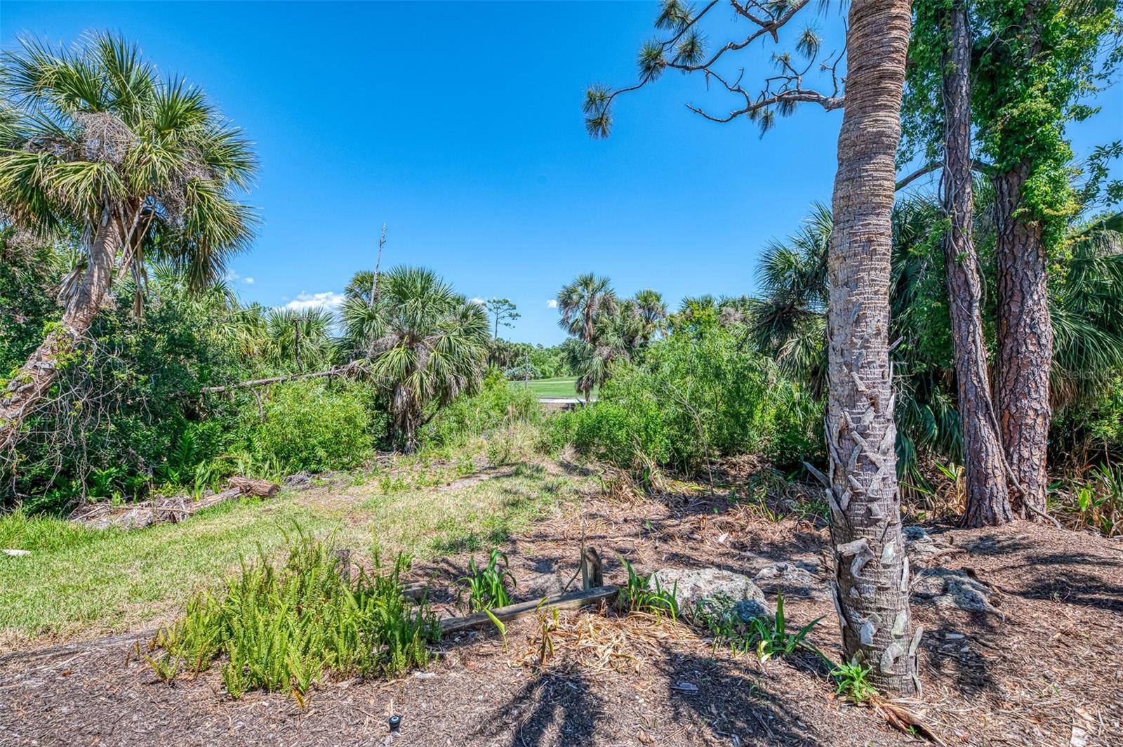 3438 Pennyroyal Road