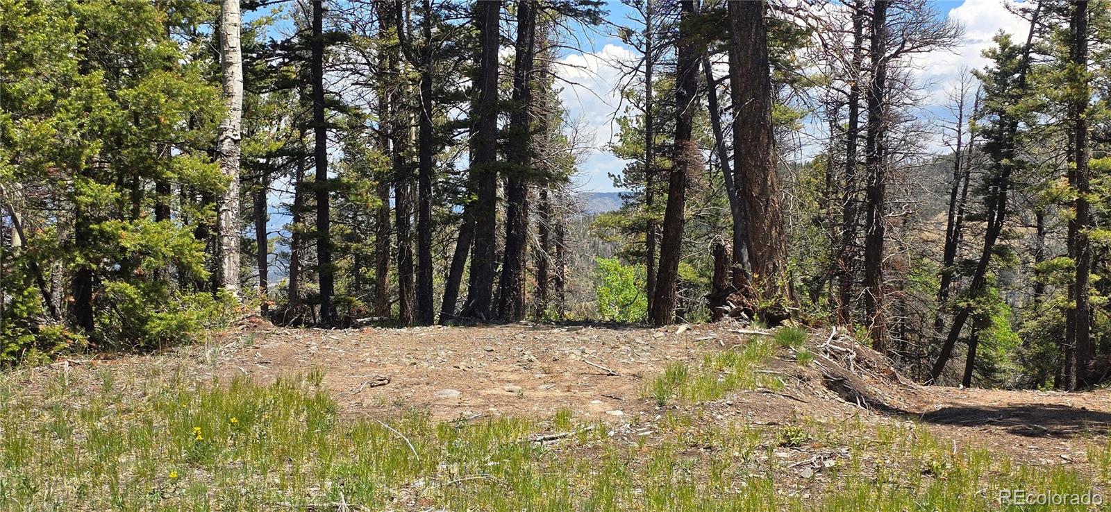 Lot 5546 Balleroy Road