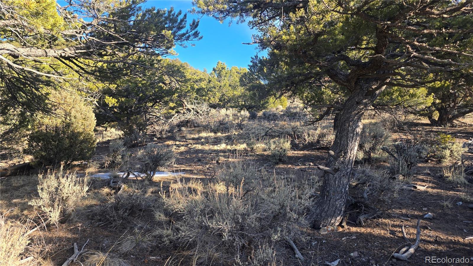 Lot 4582 Laidlaw Road