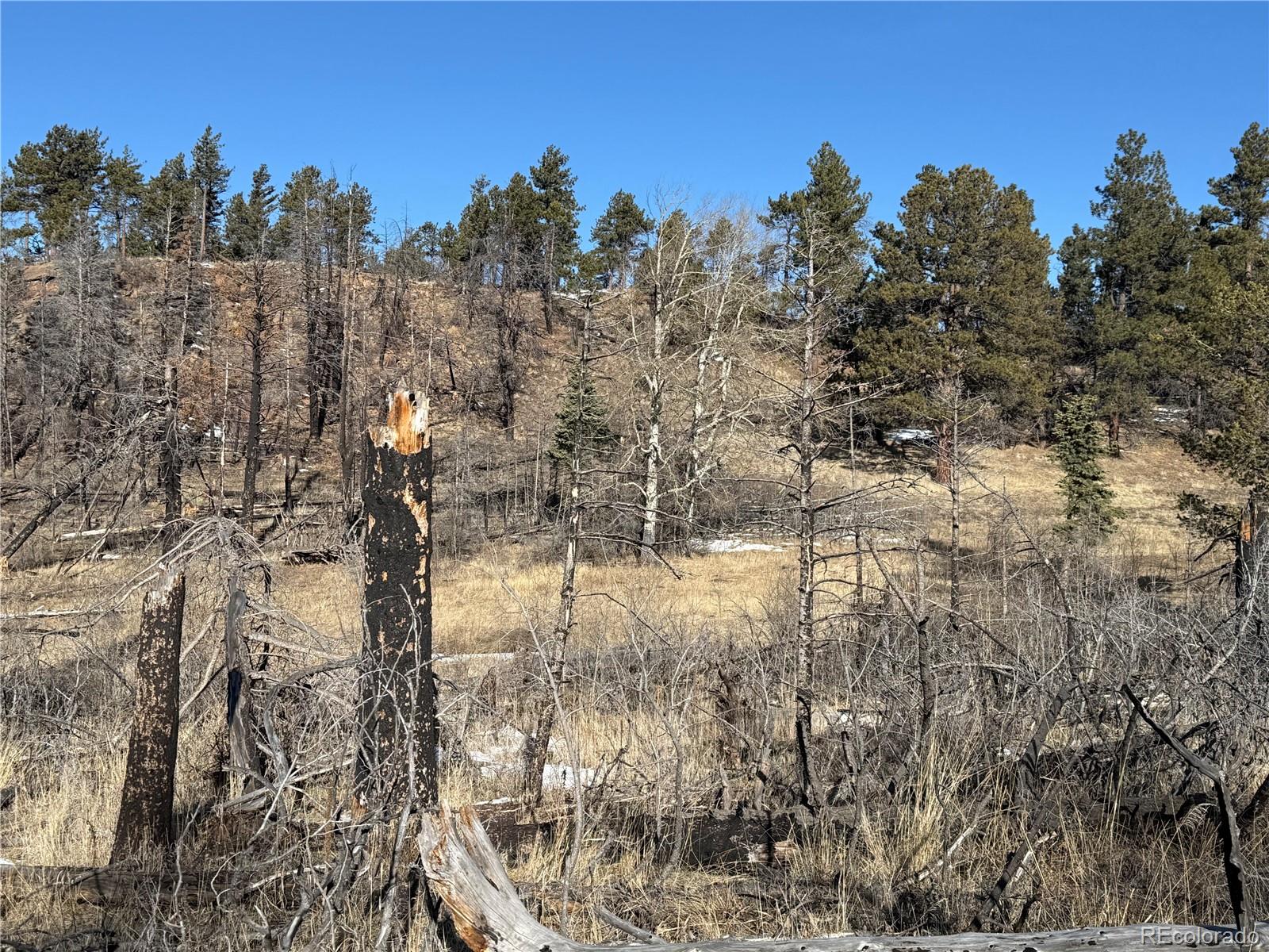 Lot 356 Spangle Drive