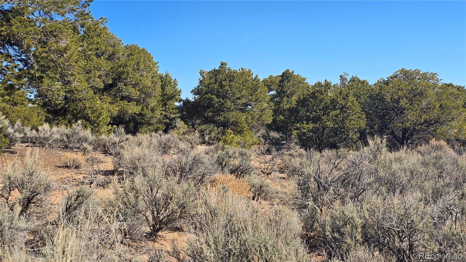 Lot 409 Williams Road