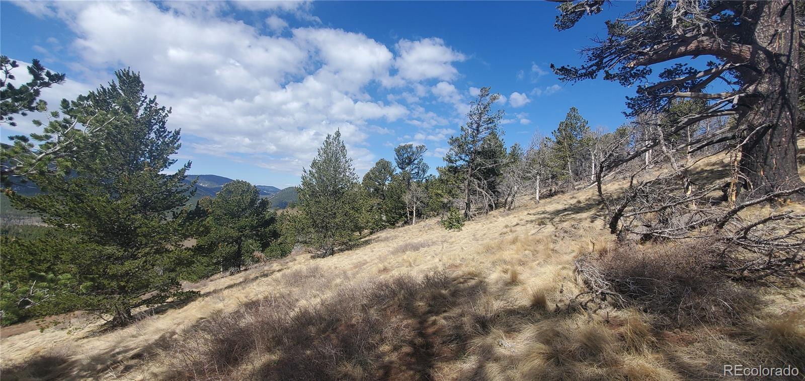 Lot 2740 Newman Place