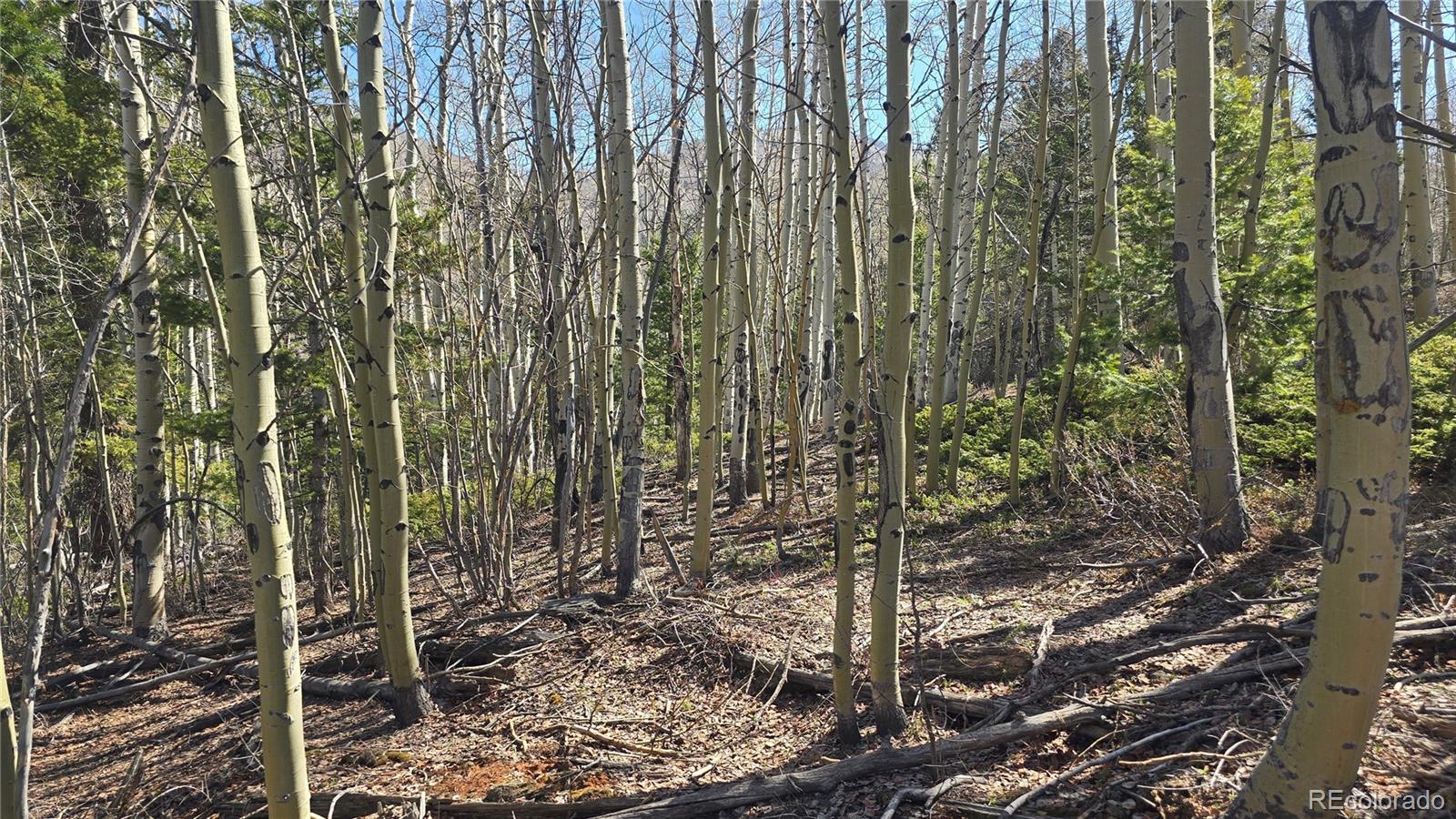 Lot 6708 Debbie Road