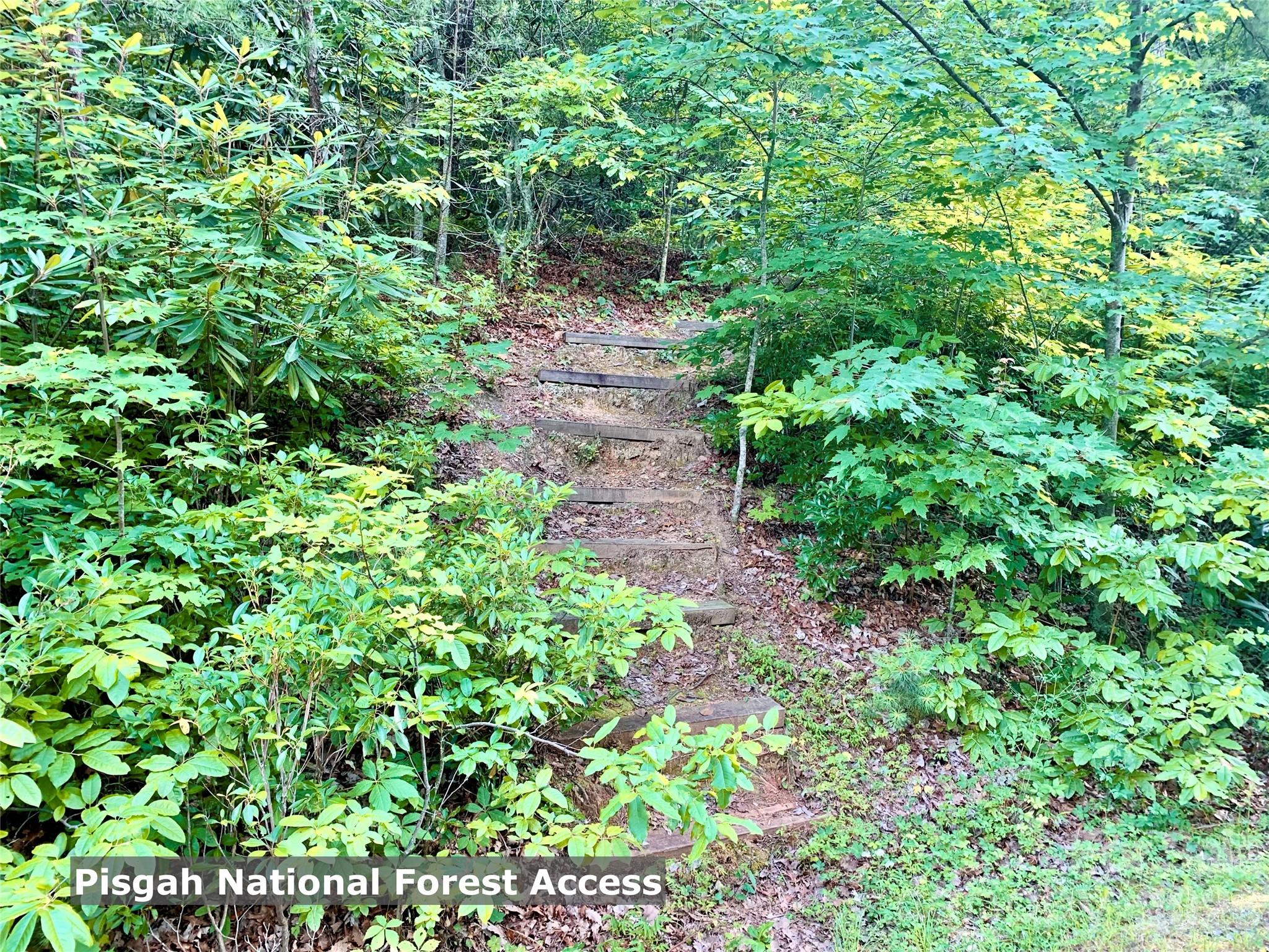 35+ acres - Lot 23 Bear Track Lane 23