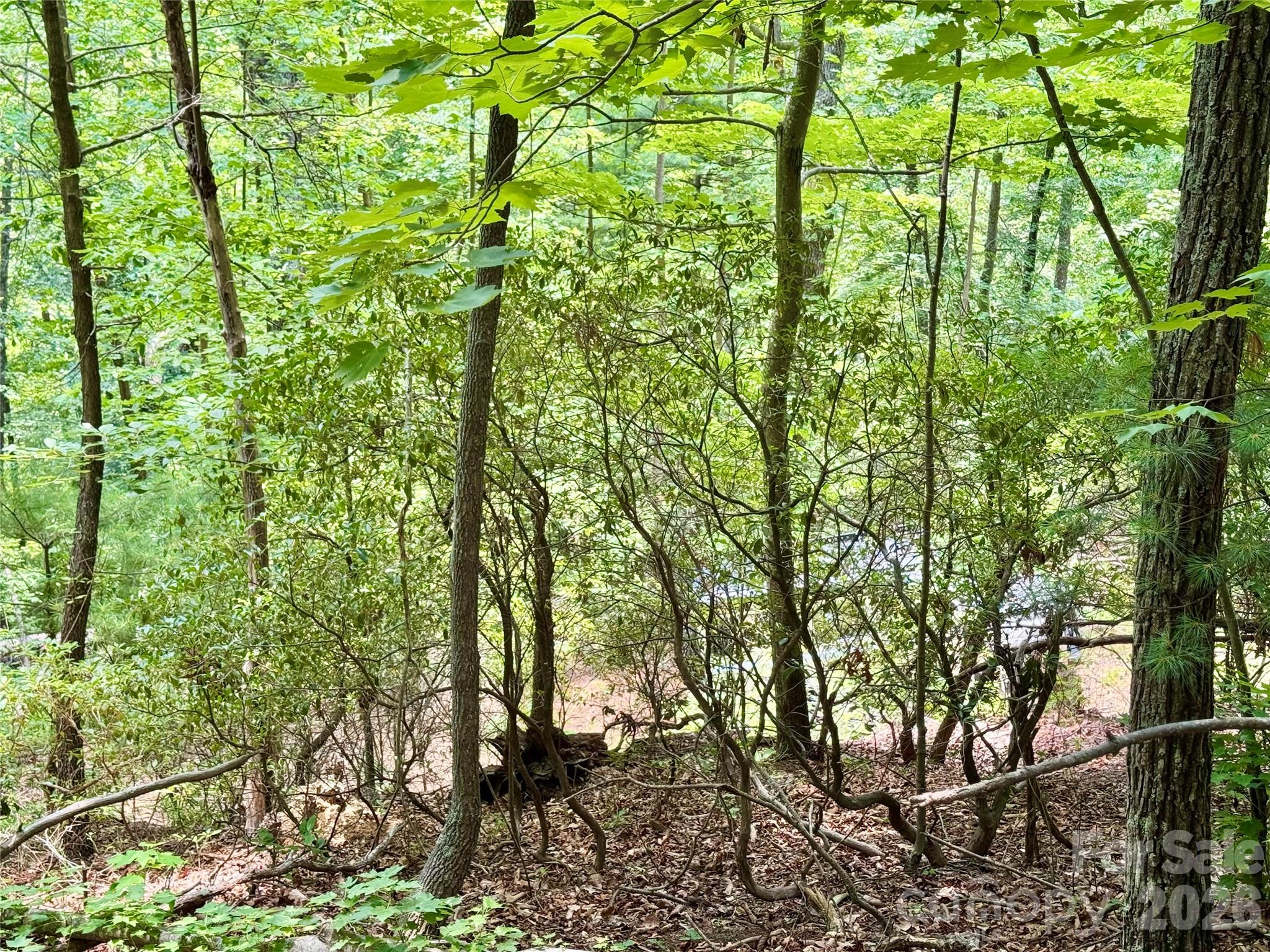 35+ acres - Lot 23 Bear Track Lane 23