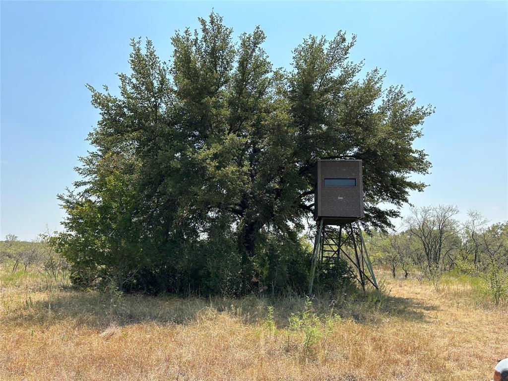 1636 County Road 207