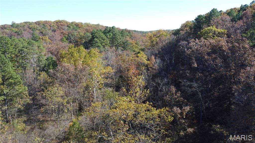 10256 Christina Trail