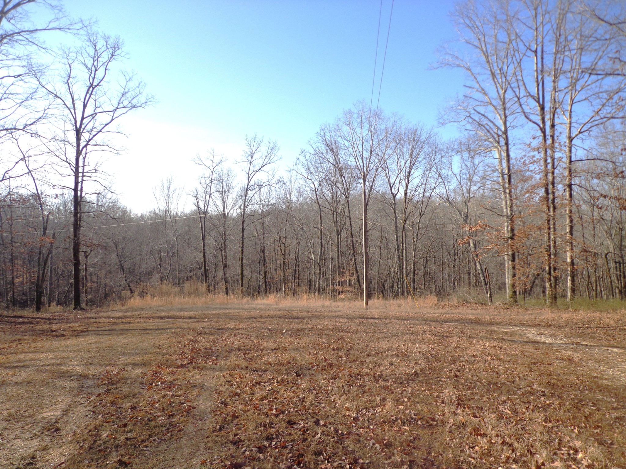 0 Deer Grass Ln