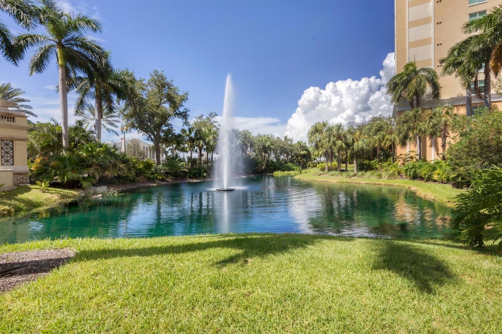800 N Tamiami Trail 1215