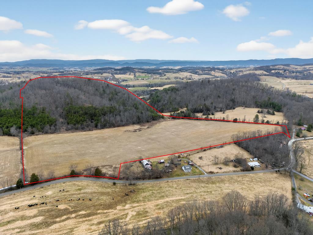 Now offering 75.01 acres on Widener Valley Road in Washington County, this impressive tract delivers a balanced mix of open ground, mature woods, and water features in a scenic country setting.  Approximately 39 acres are wooded, providing privacy, wildlife habitat, and recreational opportunities, while the remaining acreage is mostly level and cleared, offering excellent potential for farming, livestock, hay production, or a private homesite. A pond located on the property adds both visual appeal and functional value, ideal for agricultural use or quiet enjoyment.  The parcel benefits from road frontage on both Widener Valley Road and Cherry Tree Road, offering convenient access and flexibility for future use or division possibilities.  According to public records, public water is available at the site; buyers are encouraged to independently verify availability and connection requirements with the local utility provider.  With a blend of productive land, wooded acreage, strong road frontage, and a pond, this property presents a versatile opportunity in a desirable area of Washington County. Need more land? An additional 47+ acre adjoining parcel is also available and listed separately, offering the opportunity to expand your footprint in this scenic area of Washington County.  A rare chance to secure a sizable tract with road frontage, open ground, and privacy—all within easy reach of area amenities. Another adjacent parcel is also listed separately with a home on 1.4 acres at 38813 Widener Valley Rd.  All 3 parcels may be purchased, giving you a total of 123.5 acres of land!  Red boundary markings are approximate, exact boundaries are per deed - plat available.